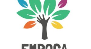 Logo von Embroca: Ein stilisierter Baum mit bunten Bl&auml;ttern und einer Hand im Stamm.